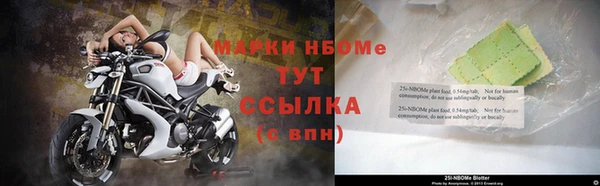 молекула духа Богданович