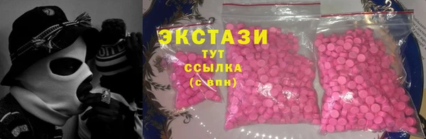 молекула духа Богданович