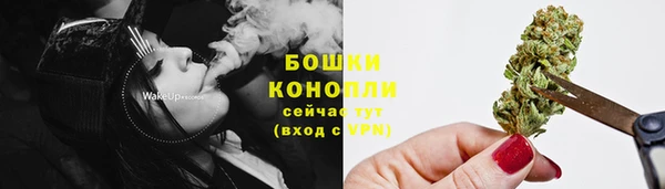 молекула духа Богданович