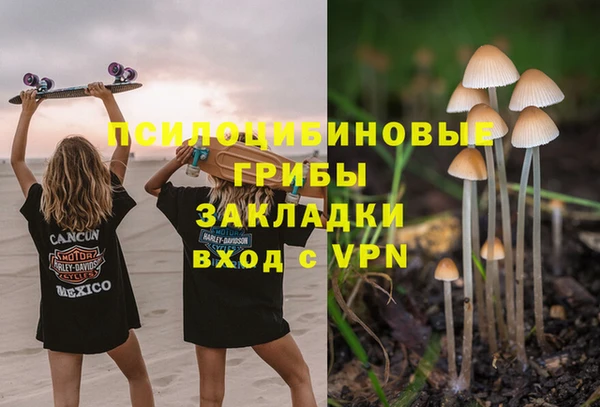 меф Богородицк