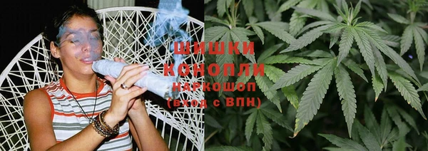 ГАЛЛЮЦИНОГЕННЫЕ ГРИБЫ Бородино