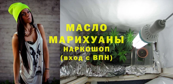 молекула духа Богданович
