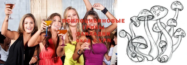меф Богородицк