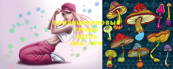 молекула духа Богданович