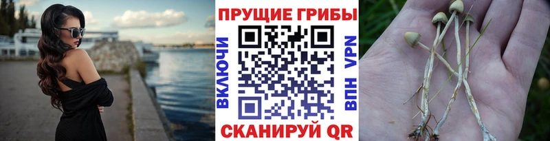 это наркотические препараты Миньяр Галлюциногенные грибы MAGIC MUSHROOMS дарнет шоп